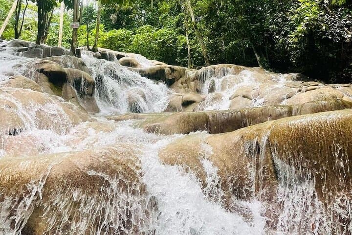 Dunn's River Falls: Private Climb & Park Tour from Montego Bay photo 5