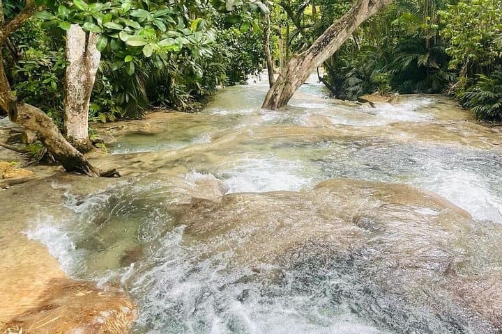 Dunn's River Falls: Private Climb & Park Tour from Montego Bay photo 6