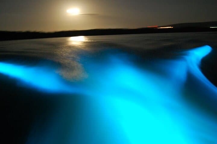 Martha Brae Bamboo Rafting and Falmouth’s Luminous Lagoon: Night Glow Tour photo 3