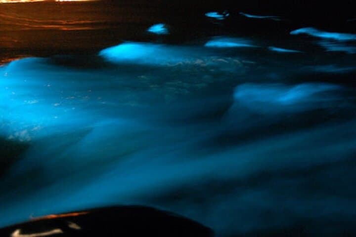 Martha Brae Bamboo Rafting and Falmouth’s Luminous Lagoon: Night Glow Tour photo 4
