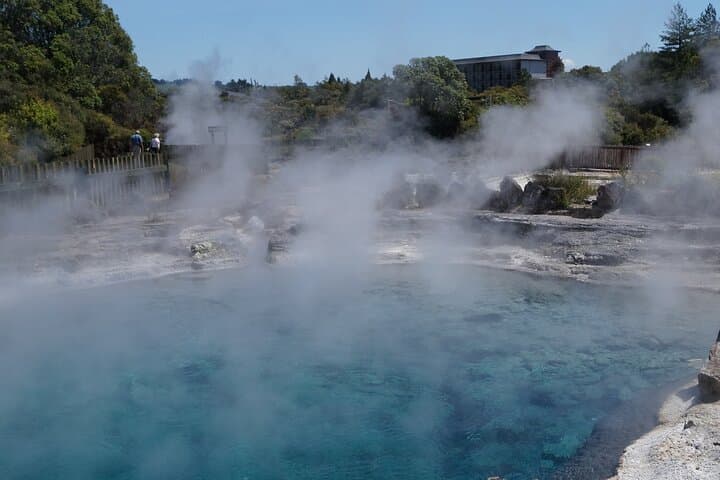 Rotorua Geothermal and Māori Culture from Tauranga: Shore Excursion Guide photo 5