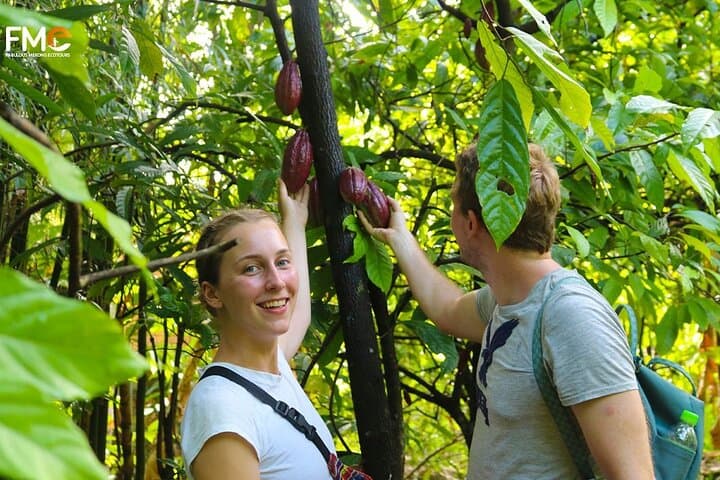 3-Day Mekong Delta Tour: Tra Su Cajuput Forest, Cai Rang Floating Market & Can Tho photo 6
