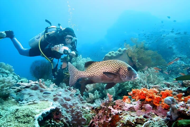 Tanjung Benoa Water Sports: Best of Bali Jumbo Packages for Jet Skiing, Parasailing & Snorkeling photo 6