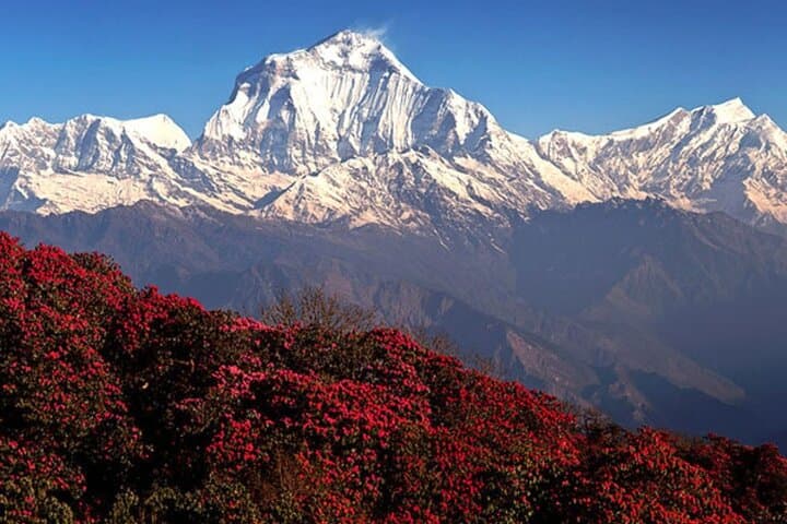 Annapurna Base Camp Trek via Poon Hill — 10-Day Private Guided Trek from Pokhara photo 3