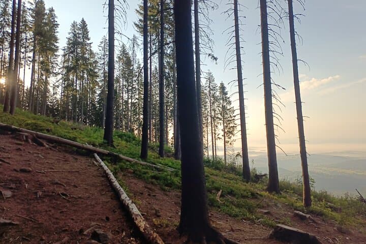 Babia Góra Day Hike from Kraków — Summit Diablak in the Western Beskids photo 6