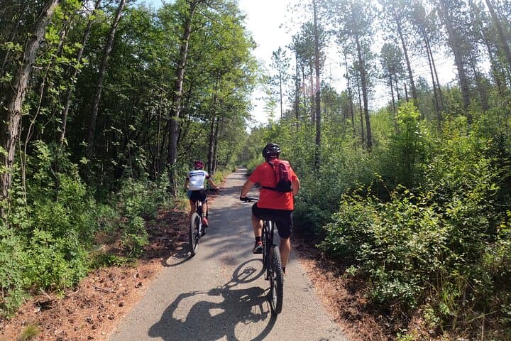 Private Kolpa Canyon E‑Bike Tour to Kavranica Viewpoint photo 6