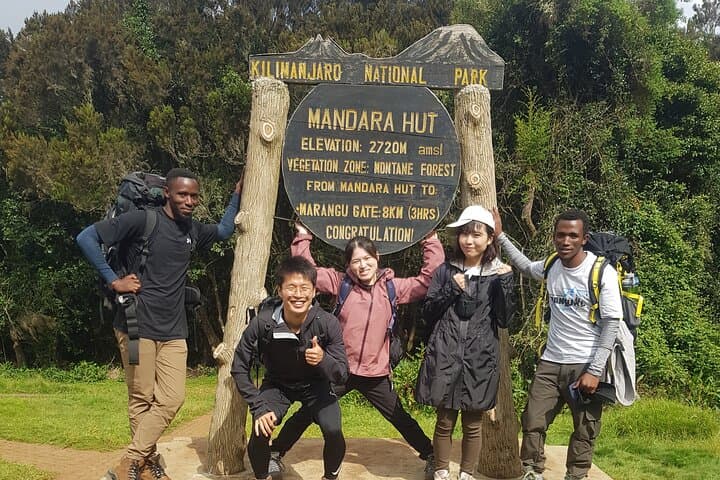 Private Kilimanjaro Day Hike to Marangu Route's Mandara Hut: A Practical Guide to Tanzania's Iconic Trek photo 3