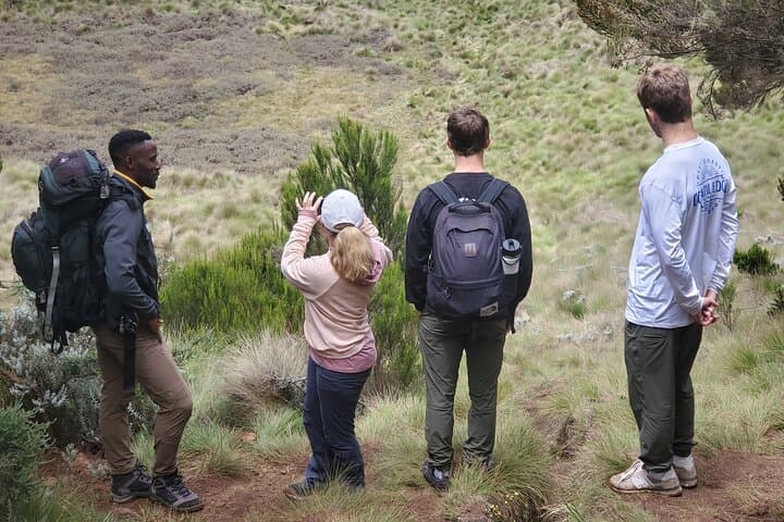 Private Kilimanjaro Day Hike to Marangu Route's Mandara Hut: A Practical Guide to Tanzania's Iconic Trek photo 5