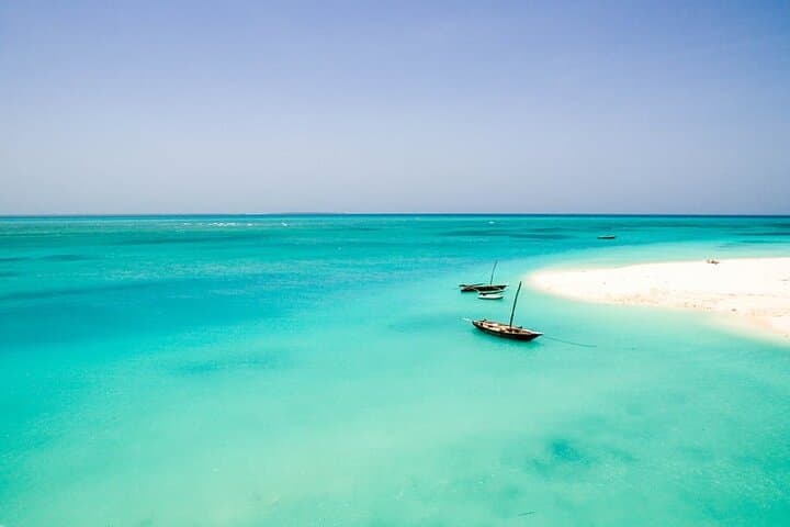 Half-Day Private Dolphins & Snorkeling Tour to Mnemba Island from Muyuni Beach photo 4