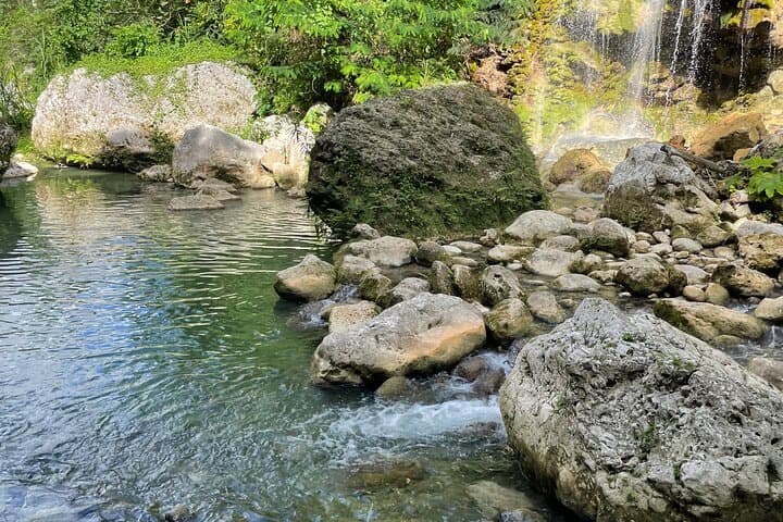 Ocho Rios to Portland: Full-Day Rainforest, Rivers & Beaches Tour photo 2