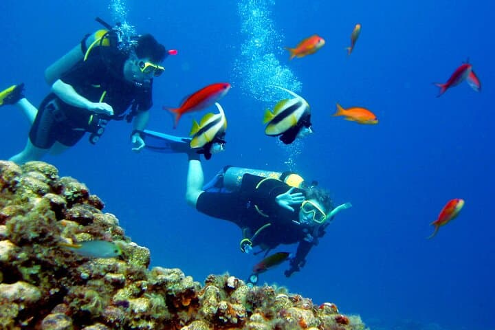 Full-Day Red Sea Scuba Diving from El Gouna — Lunch & Transfers Included photo 1