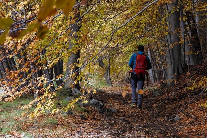 Mount Etna Morning Trek: Lava Caves, Extinct Craters & Coast Views photo 4