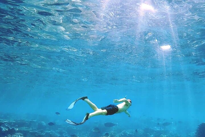 Nusa Penida West Full-Day Snorkel: Manta Bay, Crystal Bay & West Coast Viewpoints photo 3