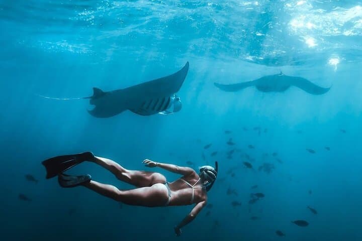 Nusa Penida West Full-Day Snorkel: Manta Bay, Crystal Bay & West Coast Viewpoints