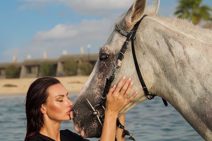 Beach Horseback Riding in Al Khobar — Arabian Gulf Coastal Trail Experience photo 4
