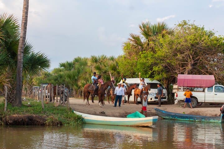 Sunset Horseback Ride on Puerto Escondido’s Oaxacan Coast photo 5