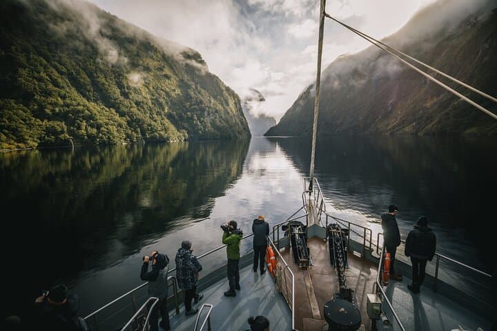 Doubtful Sound Wilderness Cruise from Te Anau — Wilmot Pass, Lake Manapouri & Fiordland Wildlife