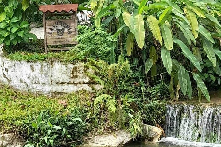 2-Day Minca Waterfalls & Viewpoints Private Tour — Coffee Farms and Sunrise on Cerro Kennedy photo 6