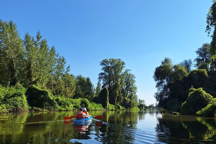 Paddle Belgrade: Self-Guided Kayak Route on the Danube and Sava photo 4
