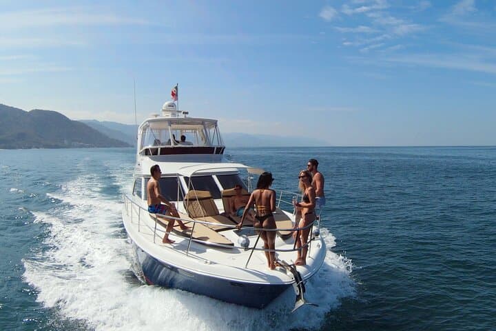 Puerto Vallarta Private Whale Watching on a Luxury Yacht photo 3
