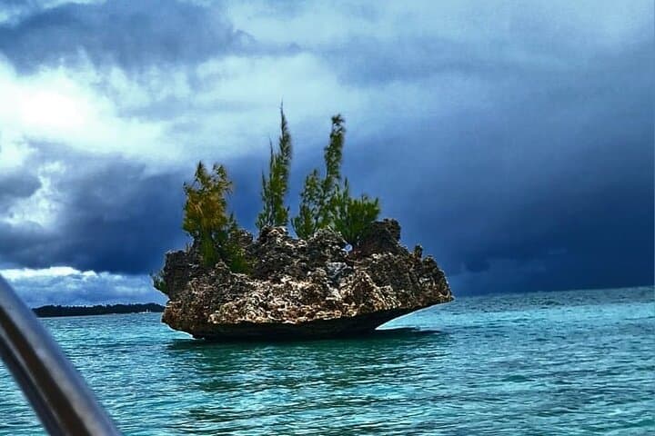 Dolphin Encounters in Mauritius Lagoon — Swim with Wild Dolphins Near Tamarin photo 4