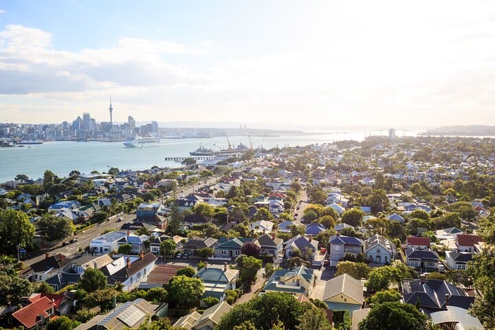 Auckland Shore Excursion from Tauranga: Private Full-Day City Highlights photo 2