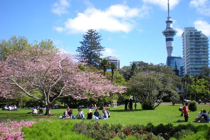Auckland Shore Excursion from Tauranga: Private Full-Day City Highlights