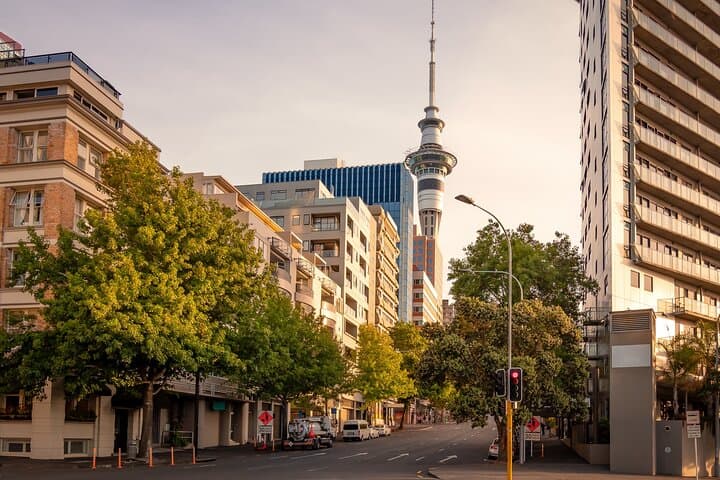 Auckland Shore Excursion from Tauranga: Private Full-Day City Highlights photo 5