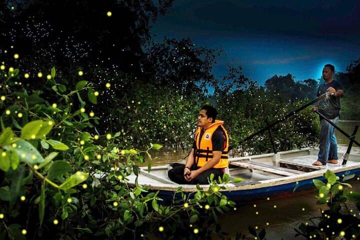 Kuala Selangor Fireflies Night Boat Tour & Seafood Dinner from Kuala Lumpur photo 6