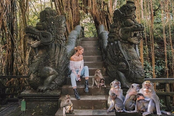 Ubud Day Tour: Monkey Forest, Tegalalang Rice Terraces & Tegenungan Waterfall photo 6