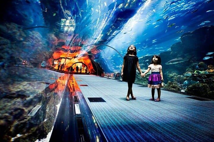 Dubai Aquarium & Underwater Zoo — Admission Ticket and Visitor Guide photo 4