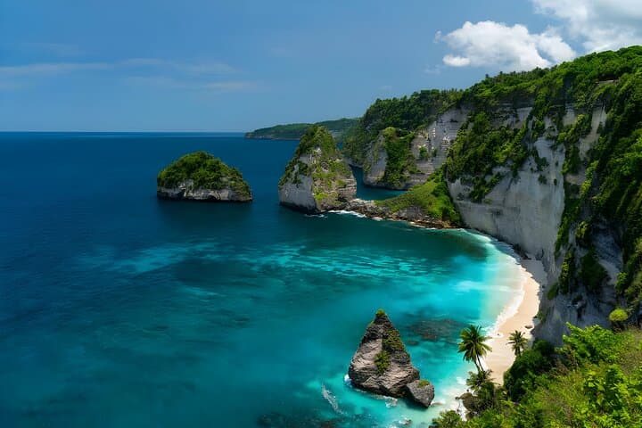 East Nusa Penida Day Tour: Diamond Beach, Atuh & Tree House from Bali