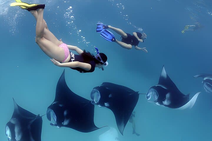 Snorkel Nusa Penida: Mantas, Turtles & Atuh Beach Day Trip from Bali photo 4