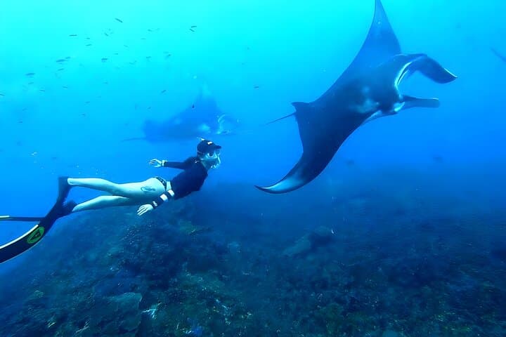 Snorkel Nusa Penida: Mantas, Turtles & Atuh Beach Day Trip from Bali photo 2
