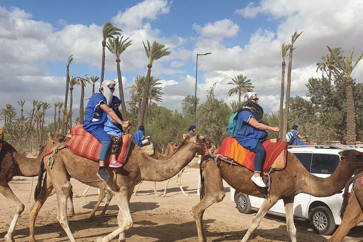 Private Camel Ride and Majorelle Garden Tour in Marrakech