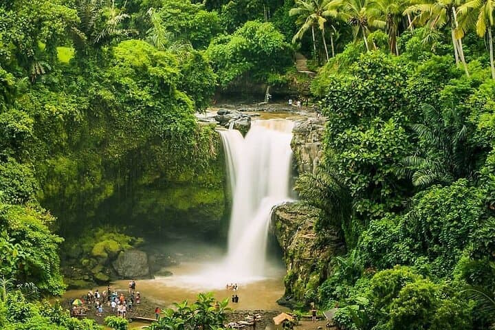 Private Ubud Day Tour and Balinese Cooking Class — Monkey Forest, Goa Gajah & Tegenungan