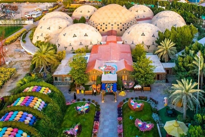 Dubai Butterfly Garden: Explore 15,000 Butterflies Near Miracle Garden photo 1