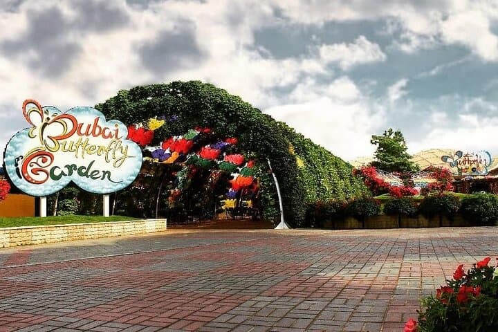Dubai Miracle Garden & Butterfly Garden: Tickets, Tips, and What to Expect photo 4