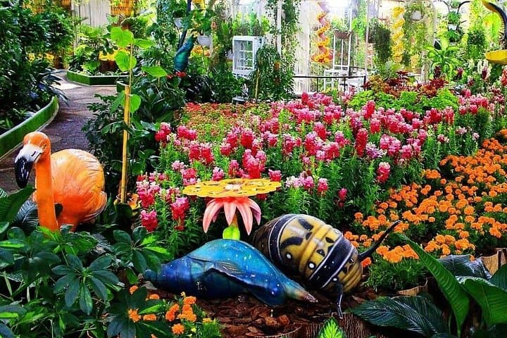Dubai Butterfly Garden: Explore the Living Butterfly Conservatory Near Miracle Garden photo 4