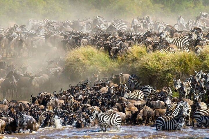 10-Day Kenya and Tanzania Classic Safari — Masai Mara to Serengeti & Ngorongoro photo 5