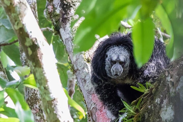Amazonia 360 Jungle Day Tour: Arajuno River Tubing, Amazoonico & Indigenous Encounters photo 6