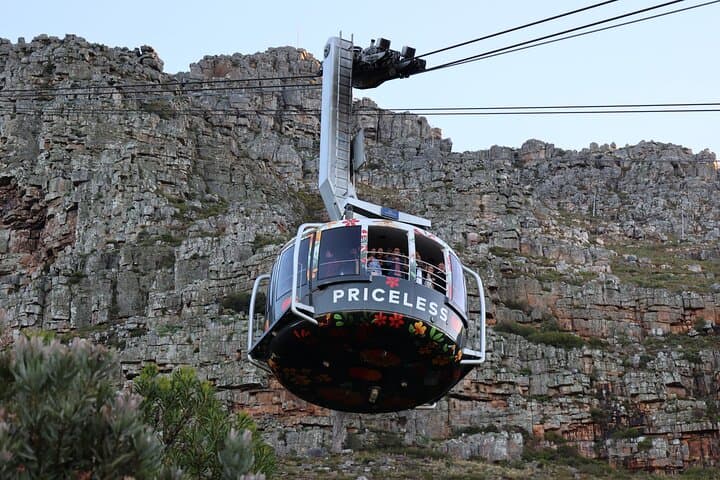 Private Cape of Good Hope & Table Mountain Day Tour — Penguins, Chapman's Peak, and Cableway