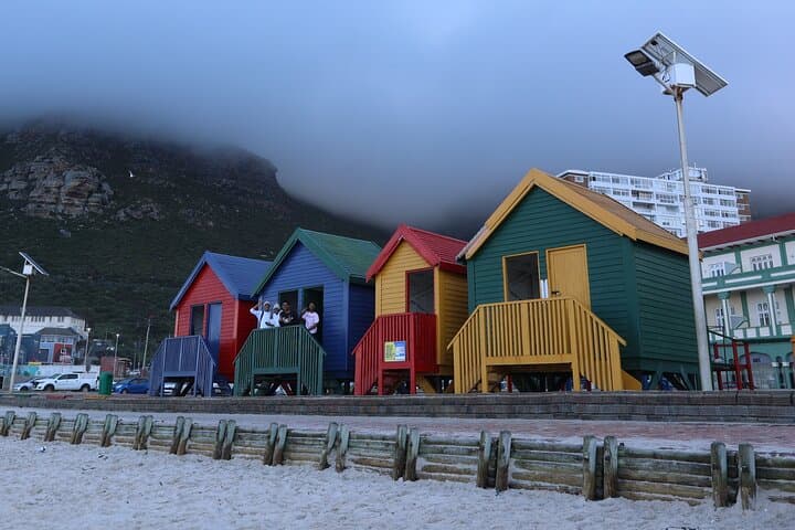 Private Cape of Good Hope & Table Mountain Day Tour — Penguins, Chapman's Peak, and Cableway photo 5