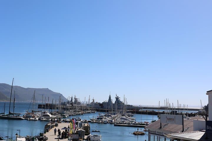 Cape Town in a Day: Table Mountain, Chapman's Peak & Penguin Beach Adventure photo 5