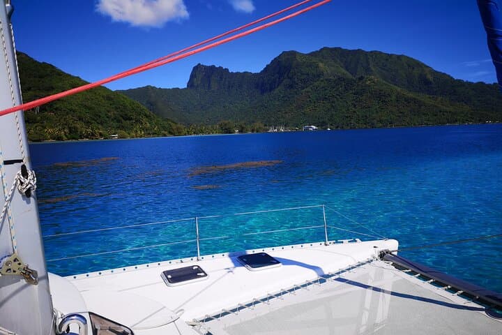 Private Moorea Day Tour: Snorkel Cook & Opunohu Bays with Stingrays and Sharks photo 6