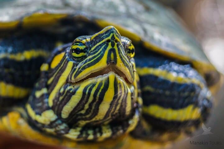 Private Cabo Blanco Nature Tour: Guided Hike in Costa Rica's First Reserve photo 4