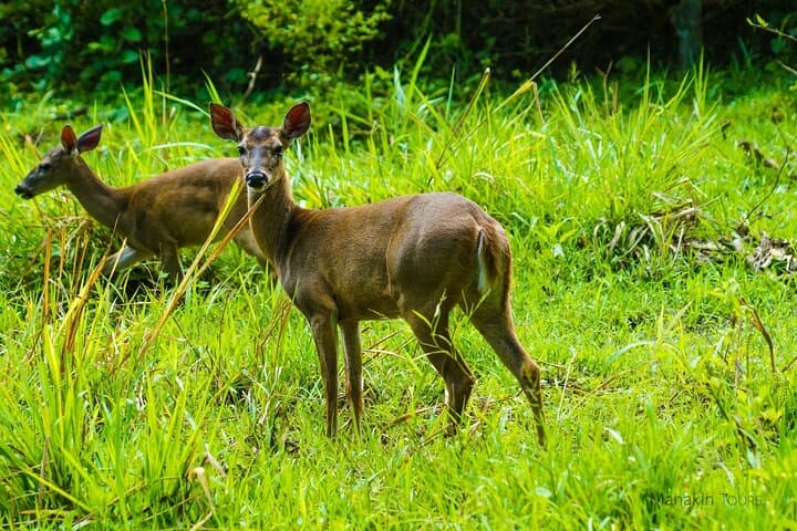Private Cabo Blanco Nature Tour: Guided Hike in Costa Rica's First Reserve photo 6