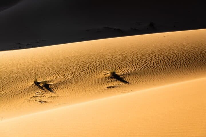 Savoring Morocco: 12-Day Private Food, Wine & Desert Adventure photo 3