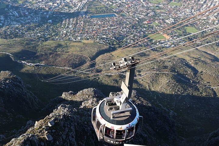 Cape of Good Hope, Boulders Beach & Table Mountain: Full-Day Cape Town Tour