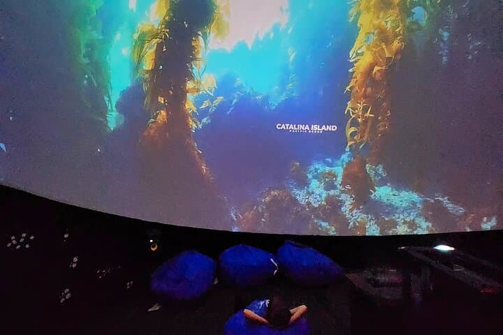 Immersed 360° Ocean Dome Experience on Catalina Island photo 3